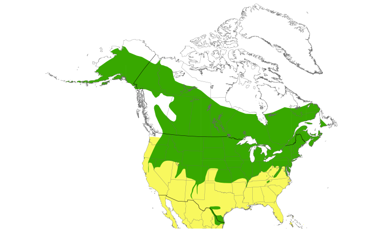 Range Map (North): Bank Swallow