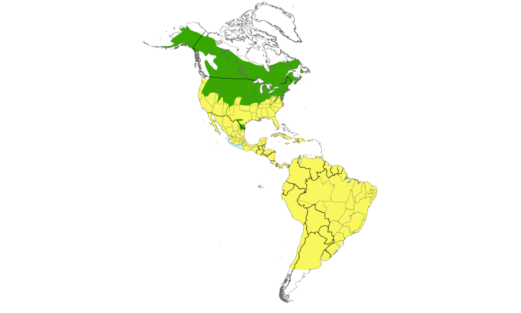 Range Map (Americas): Bank Swallow