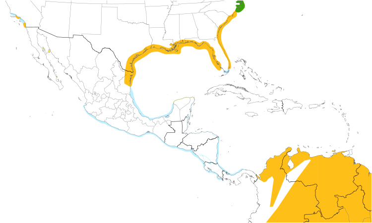 Range Map (Central): Black Skimmer