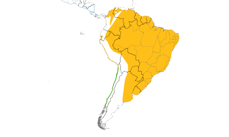 Range Map (South): Black Skimmer