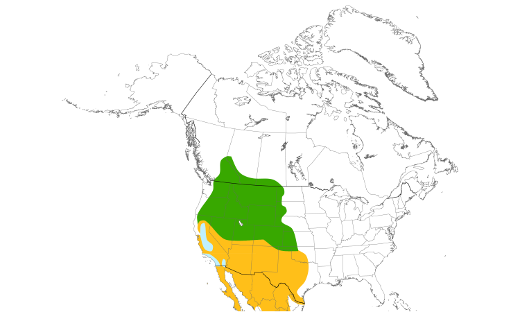 Range Map (North): Rock Wren