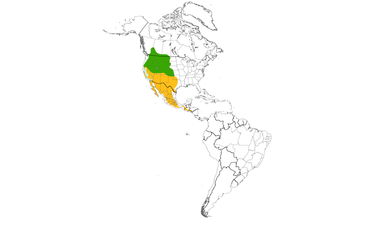 Range Map (Americas): Rock Wren
