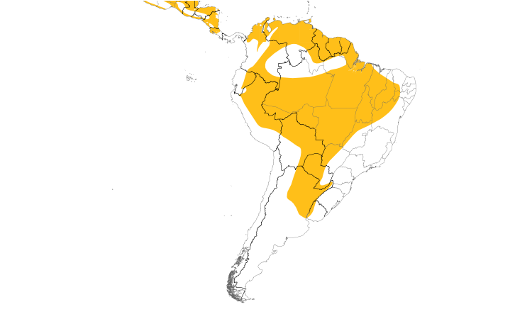 Range Map (South): Grayish Saltator