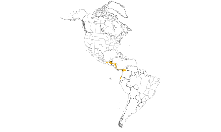 Range Map (Americas): Scaly-throated Leaftosser
