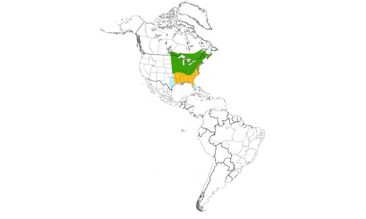 Range Map (Americas): American Woodcock