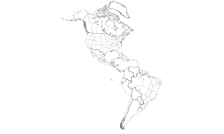 Range Map (Americas): Nariño Tapaculo