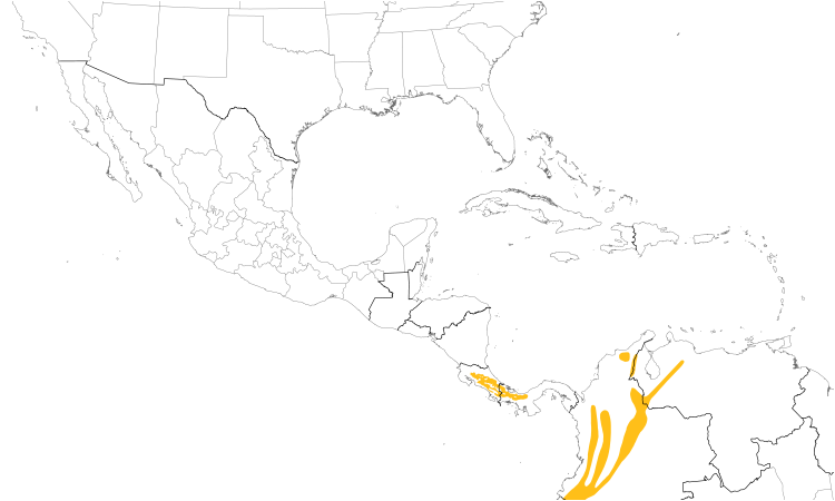 Range Map (Central): Torrent Tyrannulet