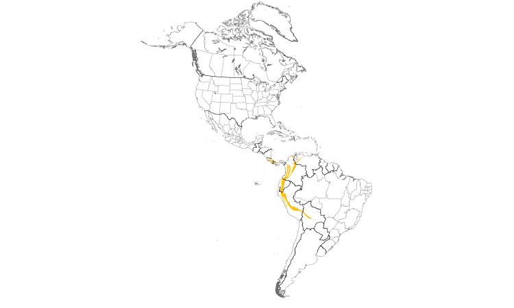 Range Map (Americas): Torrent Tyrannulet