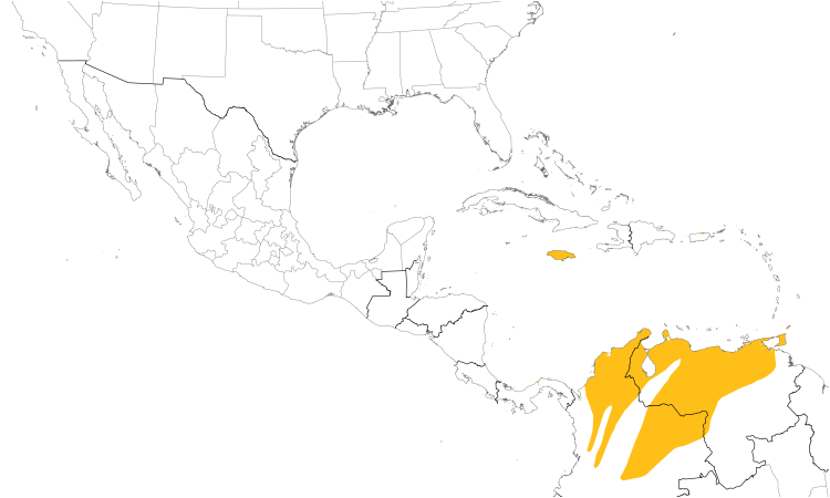 Range Map (Central): Saffron Finch