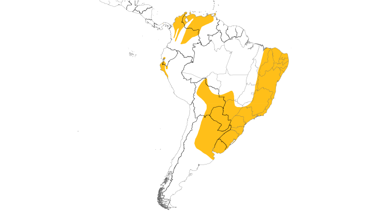 Range Map (South): Saffron Finch