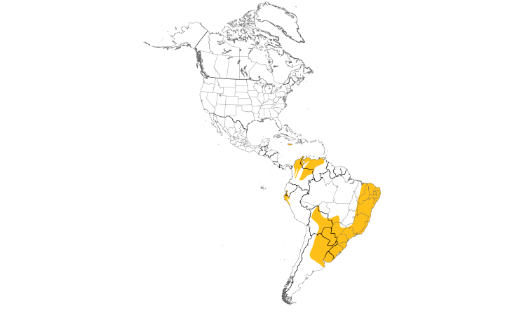 Range Map (Americas): Saffron Finch