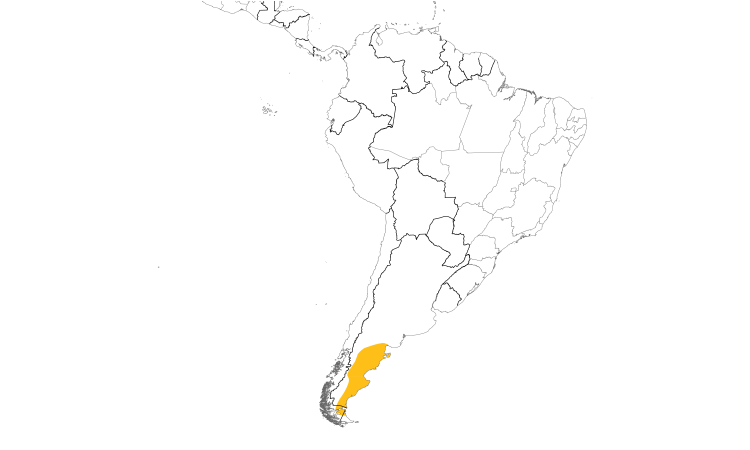 Range Map (South): Patagonian Yellow-Finch
