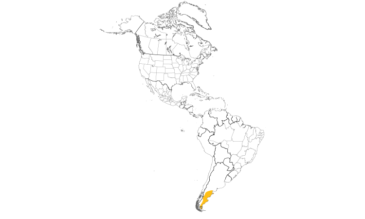 Range Map (Americas): Patagonian Yellow-Finch