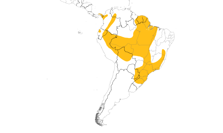 Range Map (South): Choco Sirystes