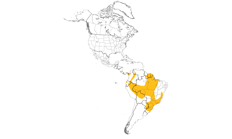 Range Map (Americas): Choco Sirystes