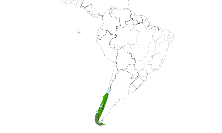 Range Map (South): Spectacled Duck