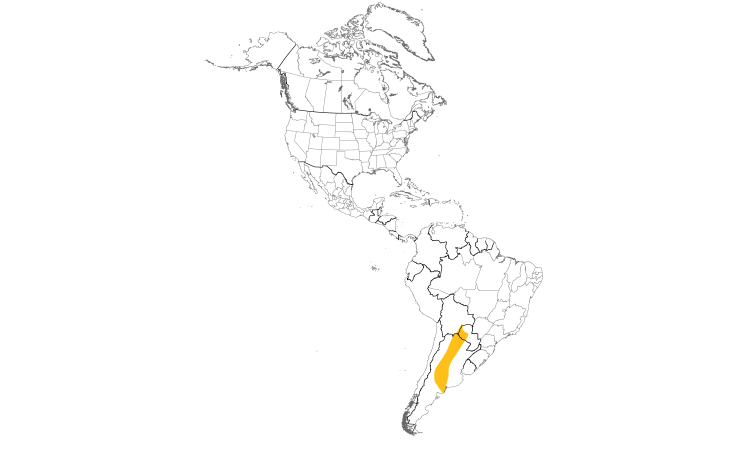 Range Map (Americas): Spot-winged Falconet