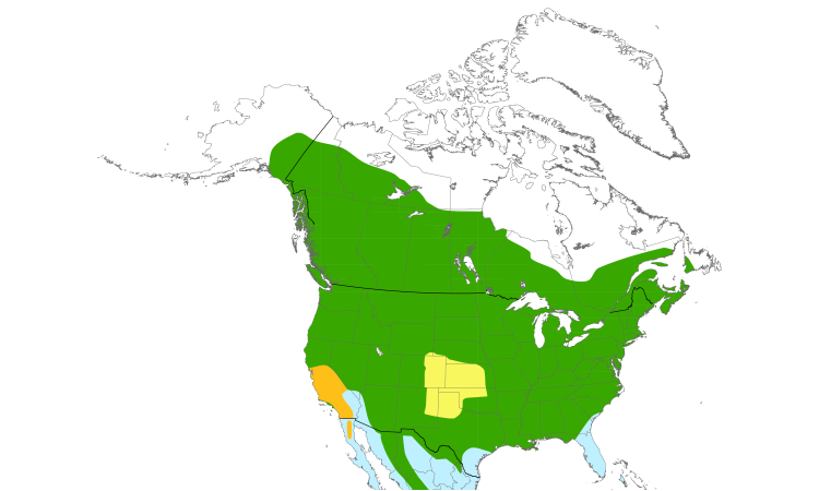 Range Map (North): Chipping Sparrow