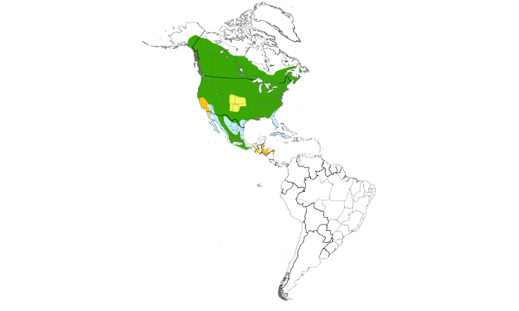 Range Map (Americas): Chipping Sparrow