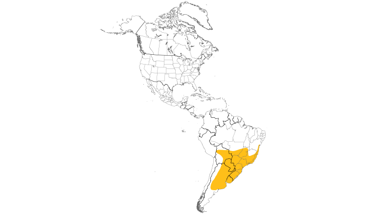 Range Map (Americas): Double-collared Seedeater