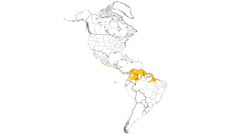 Range Map (Americas): Ruddy-breasted Seedeater