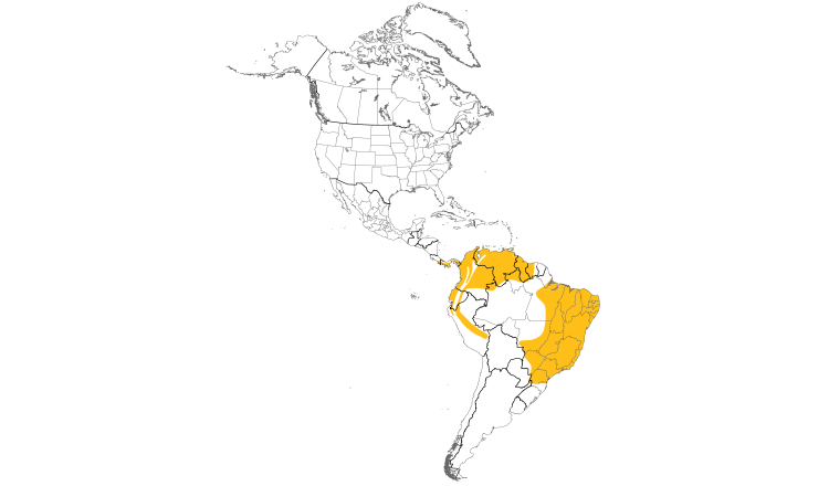 Range Map (Americas): Yellow-bellied Seedeater