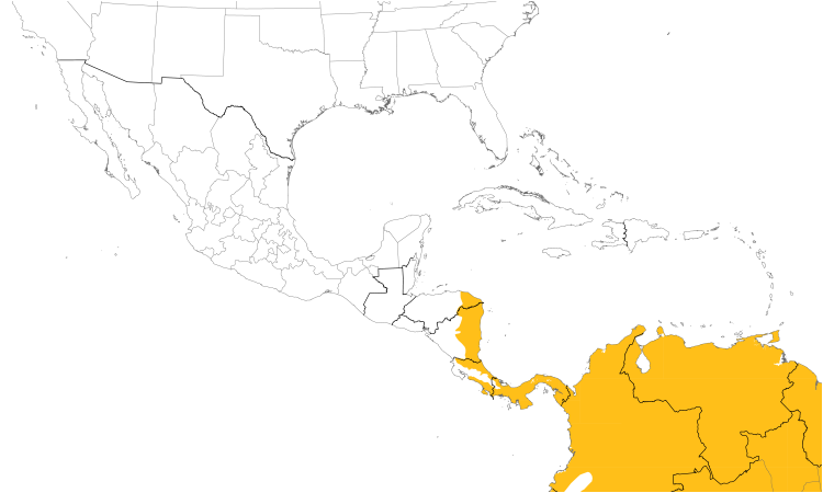 Range Map (Central): Southern Rough-winged Swallow
