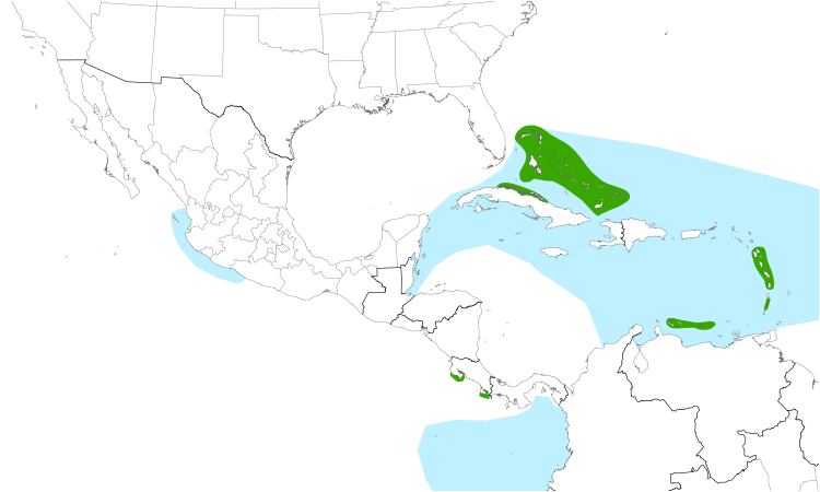 Range Map (Central): Bridled Tern