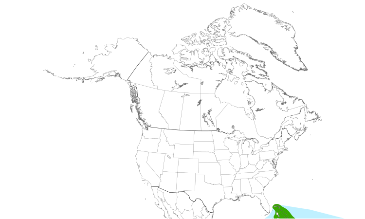 Range Map (North): Bridled Tern