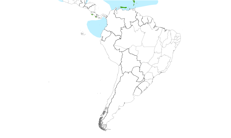 Range Map (South): Bridled Tern