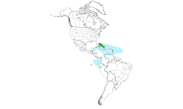 Range Map (Americas): Bridled Tern