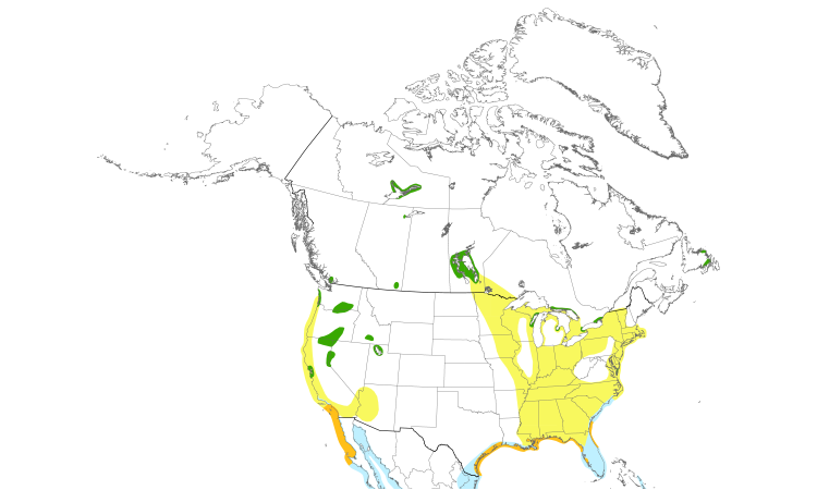 Range Map (North): Caspian Tern