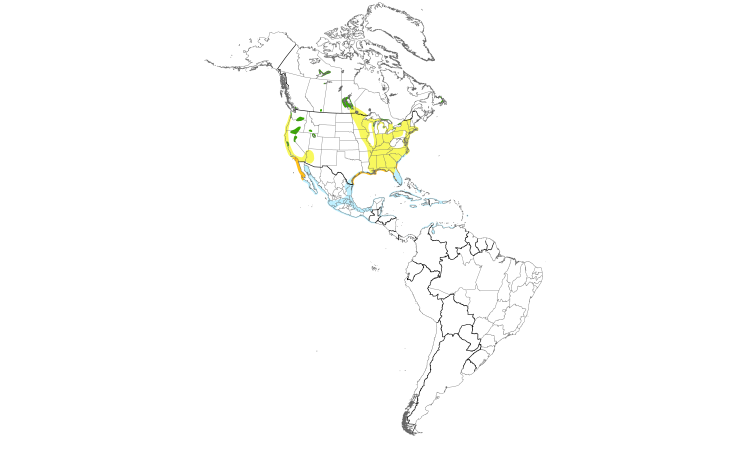 Range Map (Americas): Caspian Tern