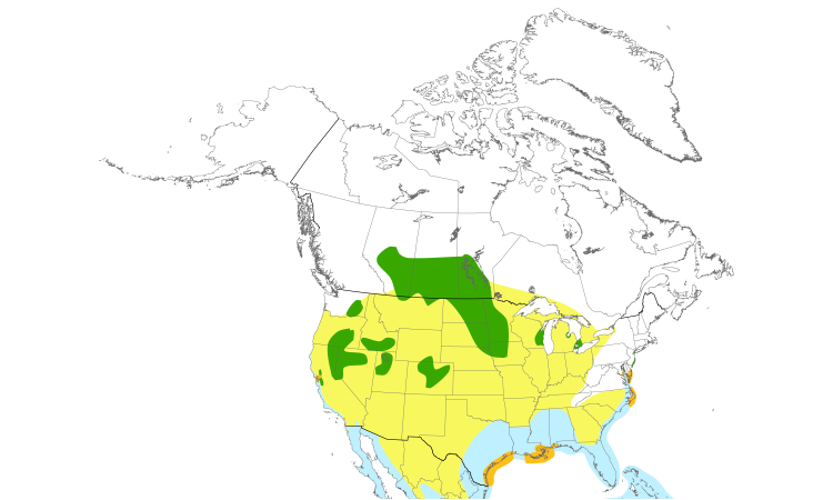 Range Map (North): Forster's Tern
