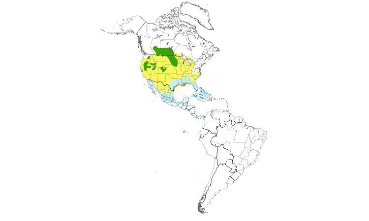 Range Map (Americas): Forster's Tern