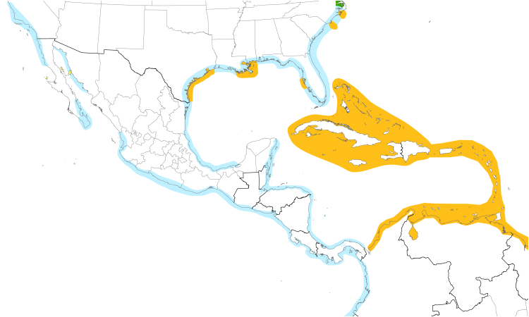Range Map (Central): Royal Tern