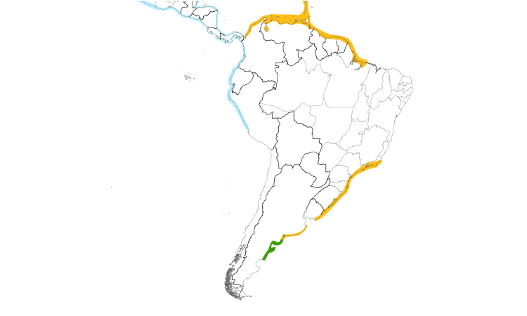Range Map (South): Royal Tern