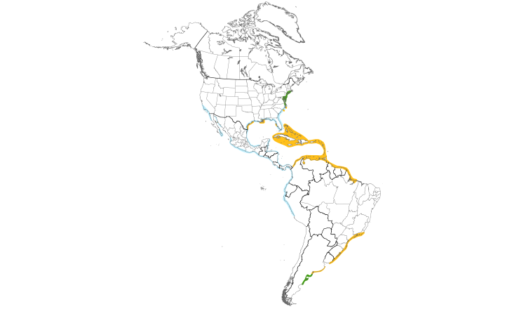 Range Map (Americas): Royal Tern