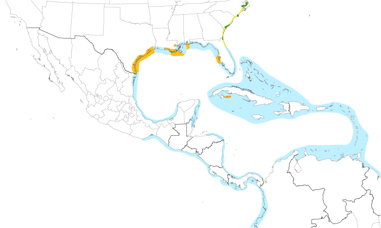 Range Map (Central): Sandwich Tern
