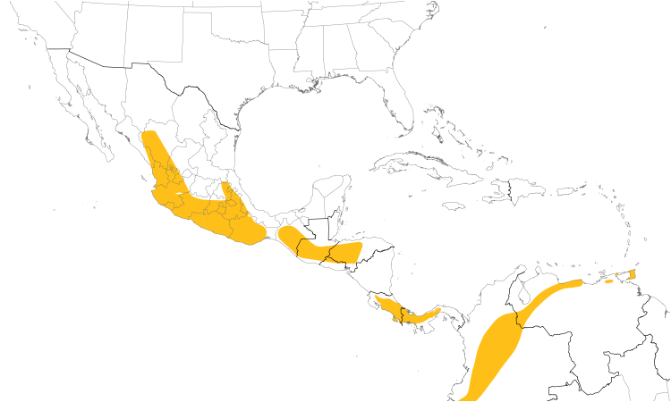 Range Map (Central): Chestnut-collared Swift