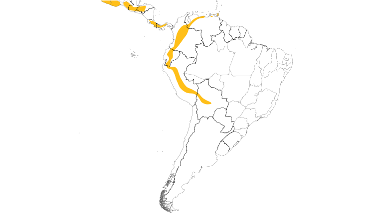 Range Map (South): Chestnut-collared Swift