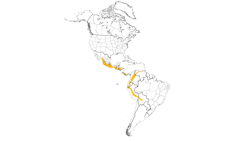 Range Map (Americas): Chestnut-collared Swift
