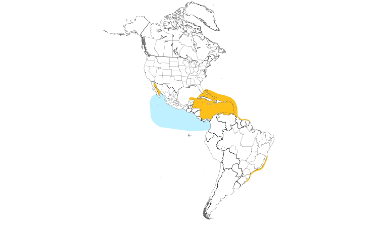Range Map (Americas): Brown Booby