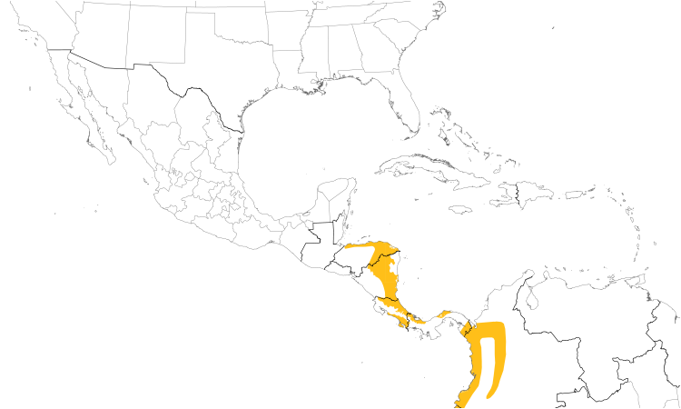 Range Map (Central): Slaty Spinetail