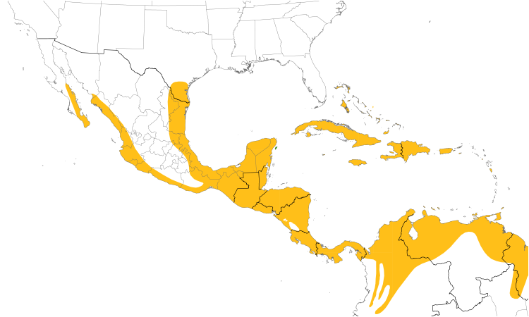 Range Map (Central): Least Grebe