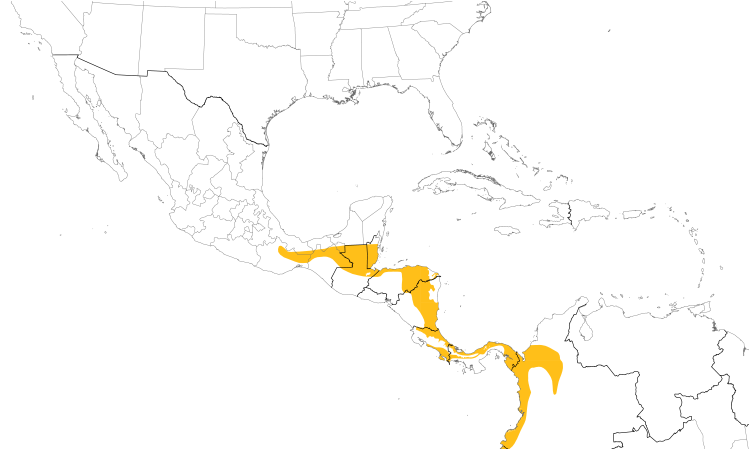Range Map (Central): Golden-hooded Tanager