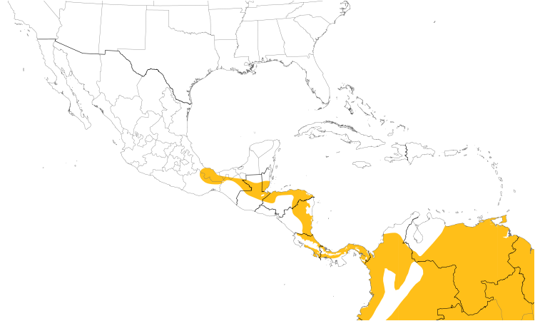 Range Map (Central): Great Antshrike