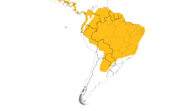 Range Map (South): Great Antshrike