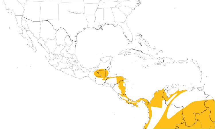 Range Map (Central): Ruddy-tailed Flycatcher