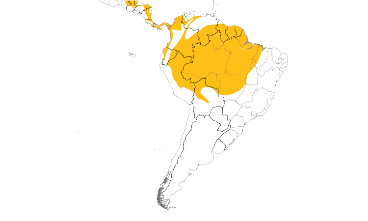 Range Map (South): Ruddy-tailed Flycatcher